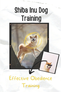Shiba Inu Dog Training