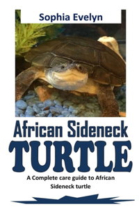 African Sideneck Turtle