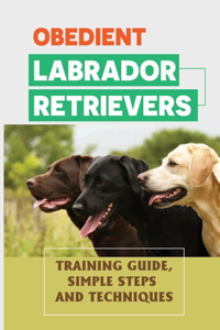 Obedient Labrador Retrievers