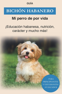 Bichón Habanero