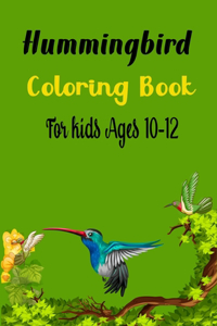 Hummingbird Coloring Book For Kids Ages 10-12
