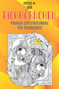 Malbuch zum Stressabbau für Jugendliche - Grosse A4 - Tier - Eichhörnchen