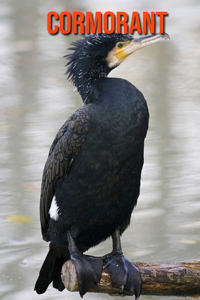 Cormorant