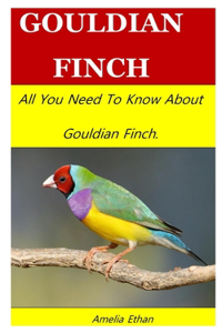 Gouldian Finch