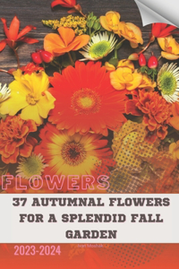 37 Autumnal Flowers for a Splendid Fall Garden