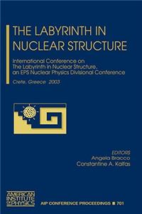 Labyrinth in Nuclear Structure