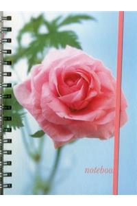 Notebook (Pink Rose)