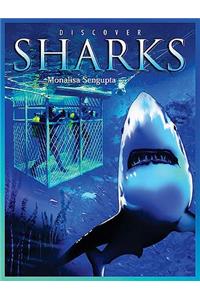 Discover Sharks