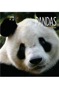 Living Wild: Pandas