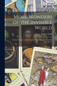 More Wonders of the Invisible World