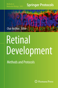 Retinal Development