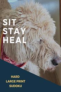 Sit Stay Heal