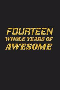 Fourteen Whole Years Of Awesome