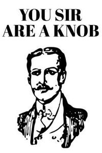 You Sir Are a Knob