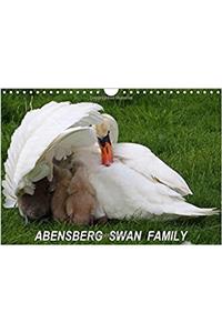 Abensberg Swan Family 2017