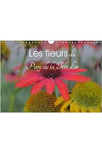 Fleurs Du Parc De La Tete D'or 2017