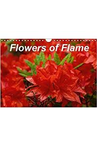 Flowers of Flame 2018