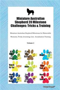 Miniature Australian Shepherd 20 Milestone Challenges