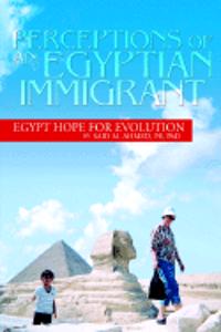 Perceptions of an Egyptian Immigrant