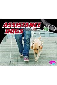 Assistance Dogs