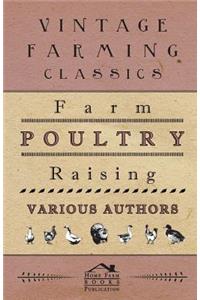 Farm Poultry Raising