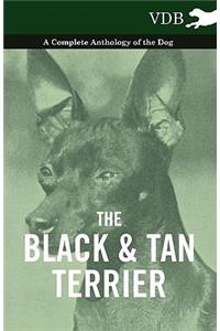 Black and Tan Terrier - A Complete Anthology of the Dog -