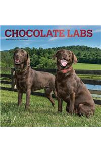 Labrador Retrievers, Chocolate 2019 Square Foil
