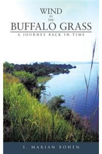 Wind in the Buffalo Grass