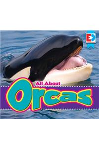 All about Orcas