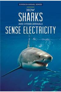 How Sharks and Other Animals Sense Electricity