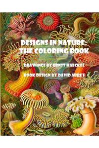Designs in Nature