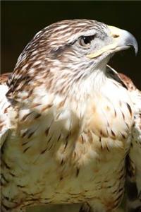 The Red-Tailed Hawk Journal