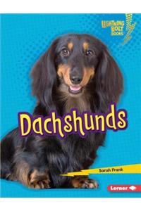 Dachshunds