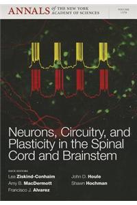 Neurons, Circuitry, and Plasticity in the Spinal Cord and Brainstem, Volume 1279