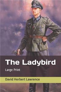 The Ladybird