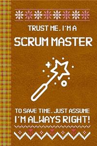 I'm a Scrum Master! I'm Always Right! Ugly Xmas Sweater Design