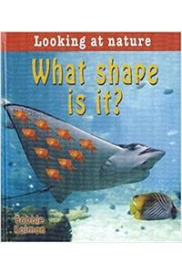 What Shape Is It