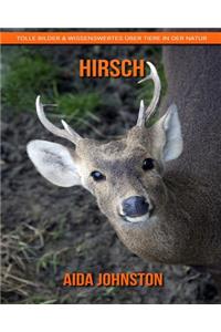 Hirsch