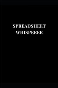 Spreadsheet Whisperer