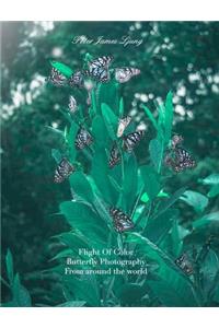 Flight of colorButterfly Photographers