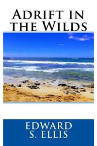 Adrift in the Wilds
