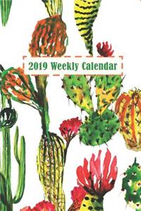 2019 Weekly Calendar: Watercolor Blooming Cactus Desk Set