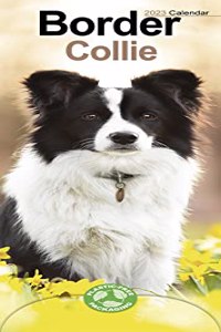 Border Collie 2023 Slim Calendar