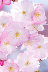 Cherry Blossoms Mini Notebook