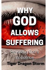 Why God Allows Suffering