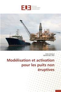 Modélisation Et Activation Pour Les Puits Non Éruptives