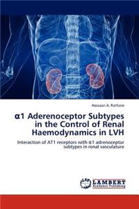 1 Aderenoceptor Subtypes in the Control of Renal Haemodynamics in Lvh