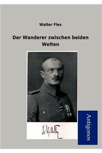 Der Wanderer Zwischen Beiden Welten