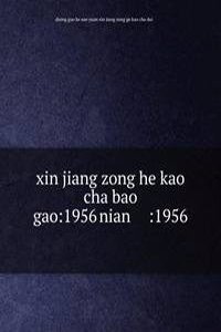 xin jiang zong he kao cha bao gao