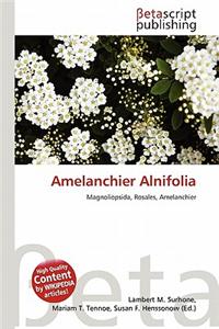 Amelanchier Alnifolia